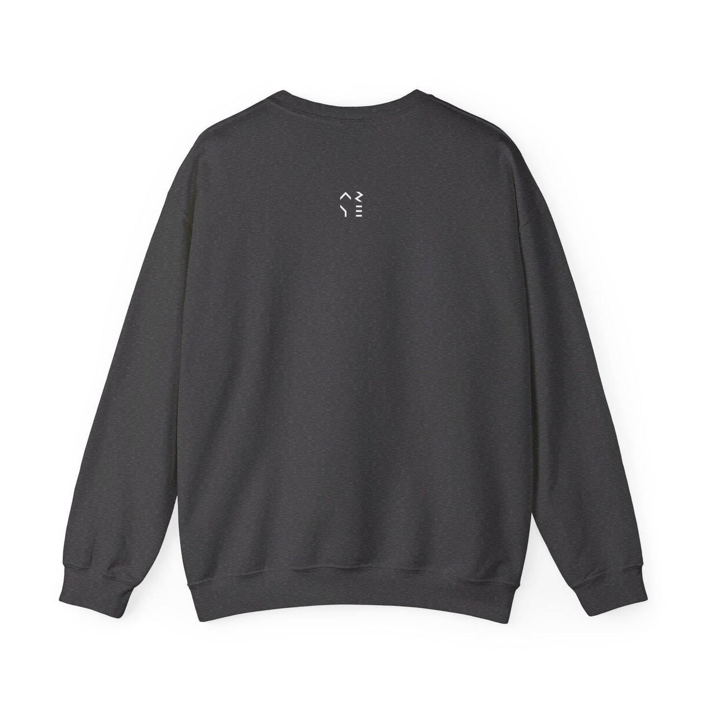 ARYE PACK DIGITAL CREWNECK