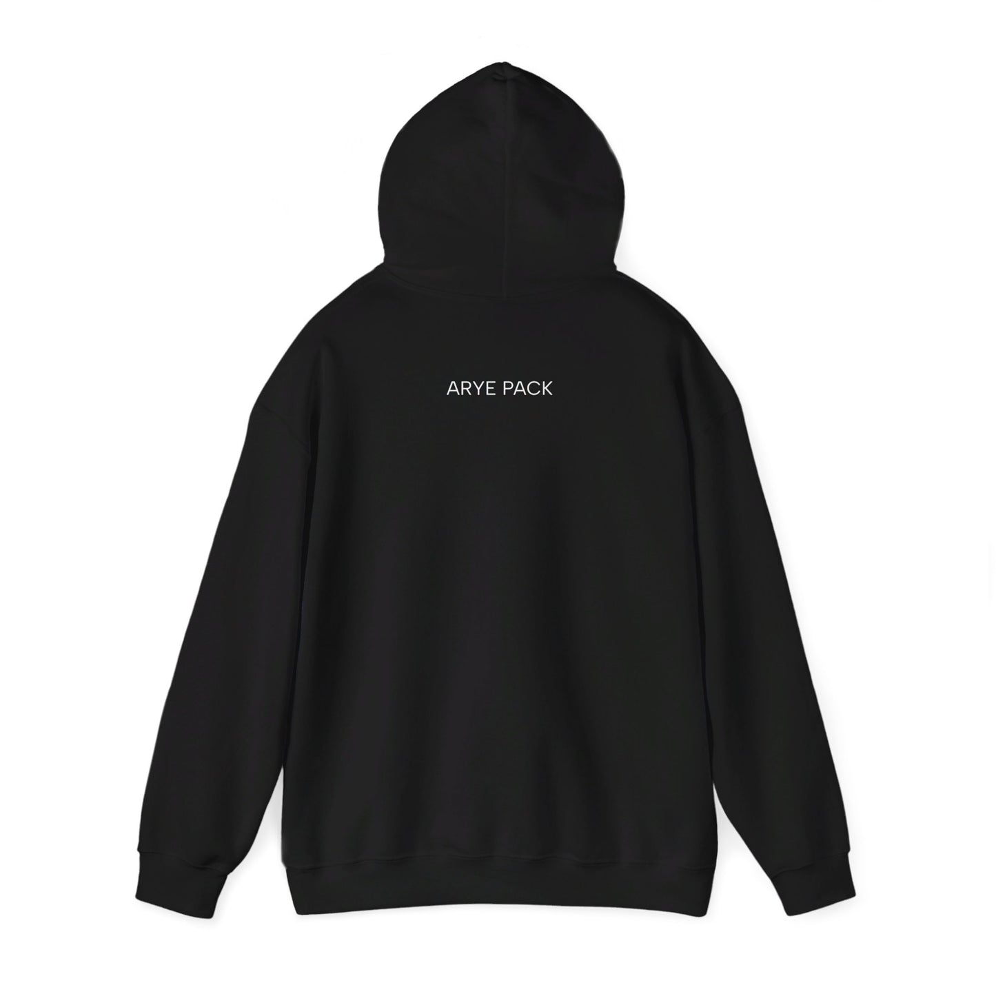 ARYE PACK CLASSIC HOODIE