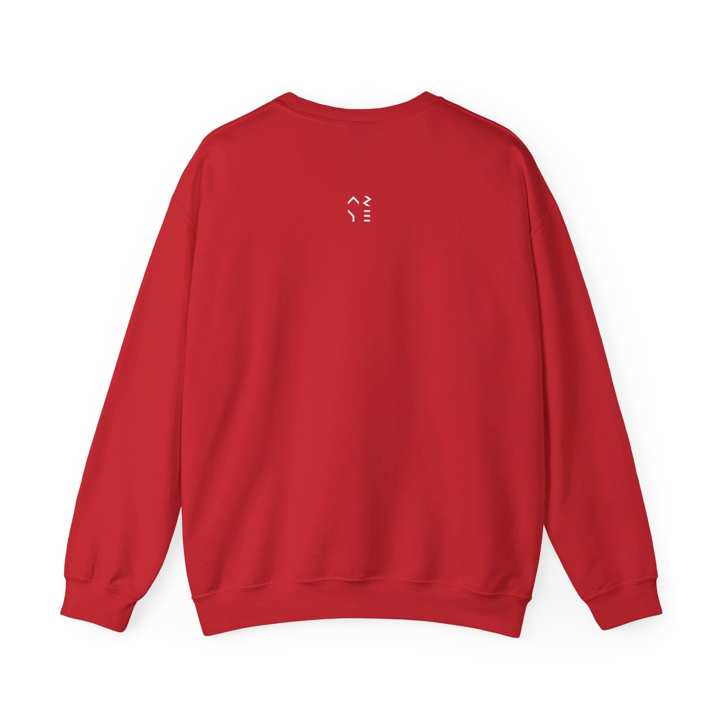 ARYE PACK DIGITAL CREWNECK