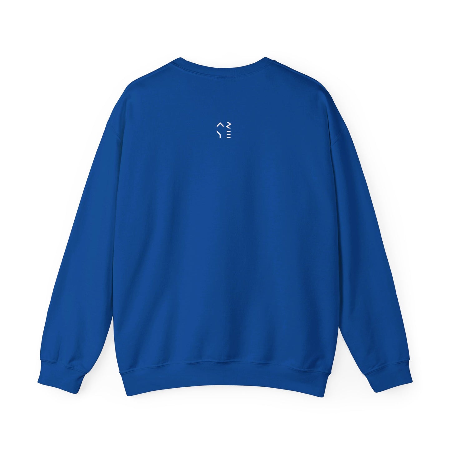 ARYE PACK DIGITAL CREWNECK