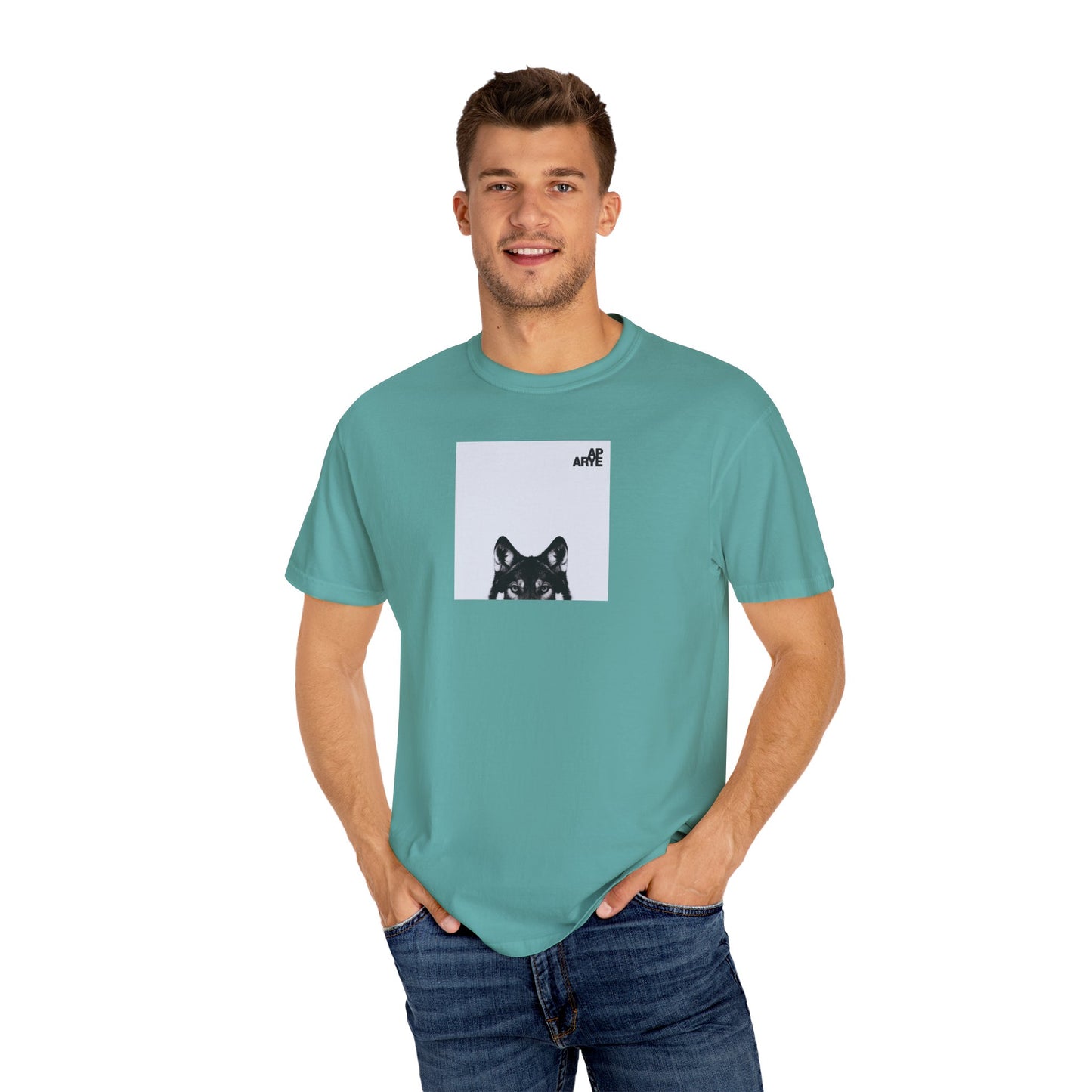 ARYE PACK AP ABUM T-SHIRT