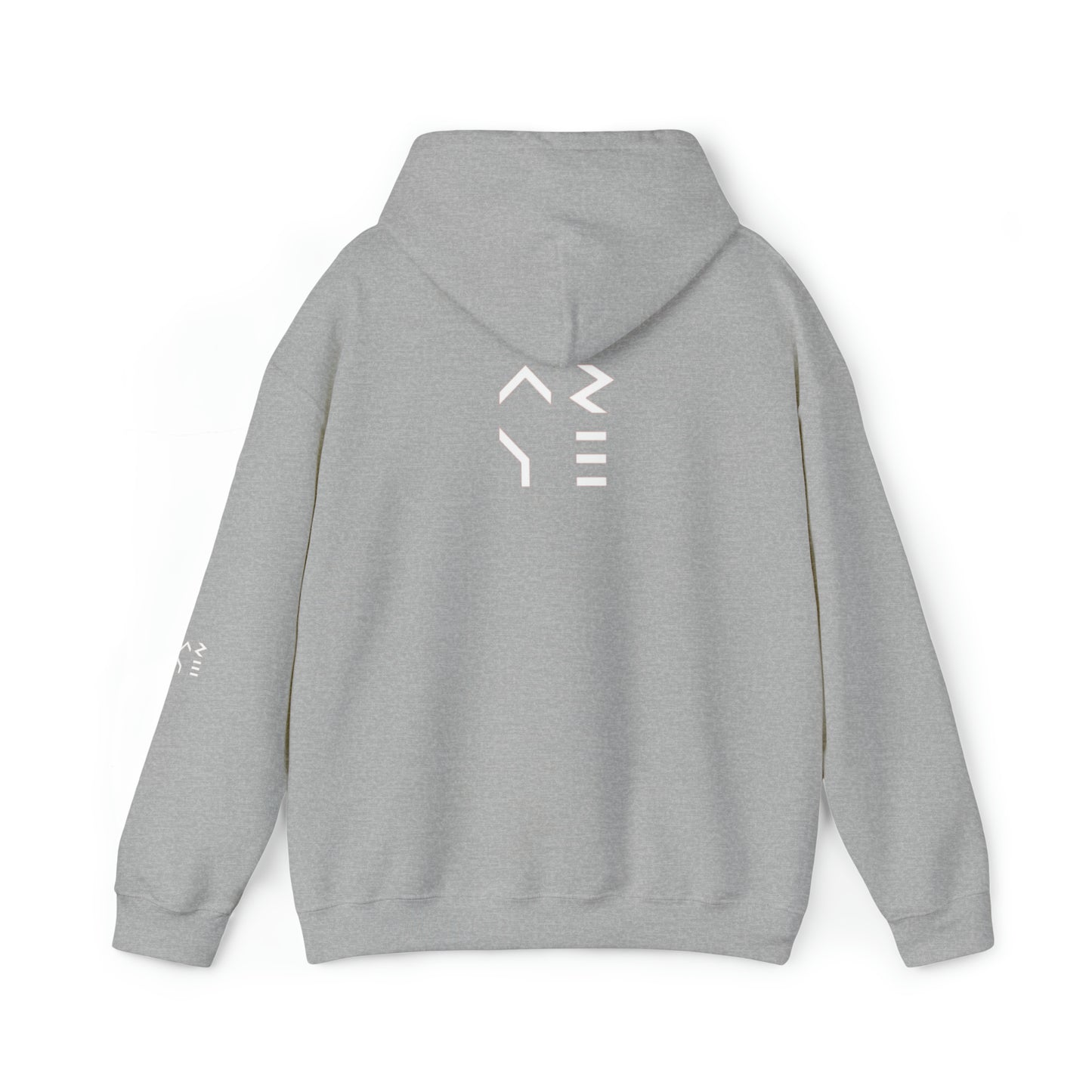 ARYE PACK DEFINITION HOODIE