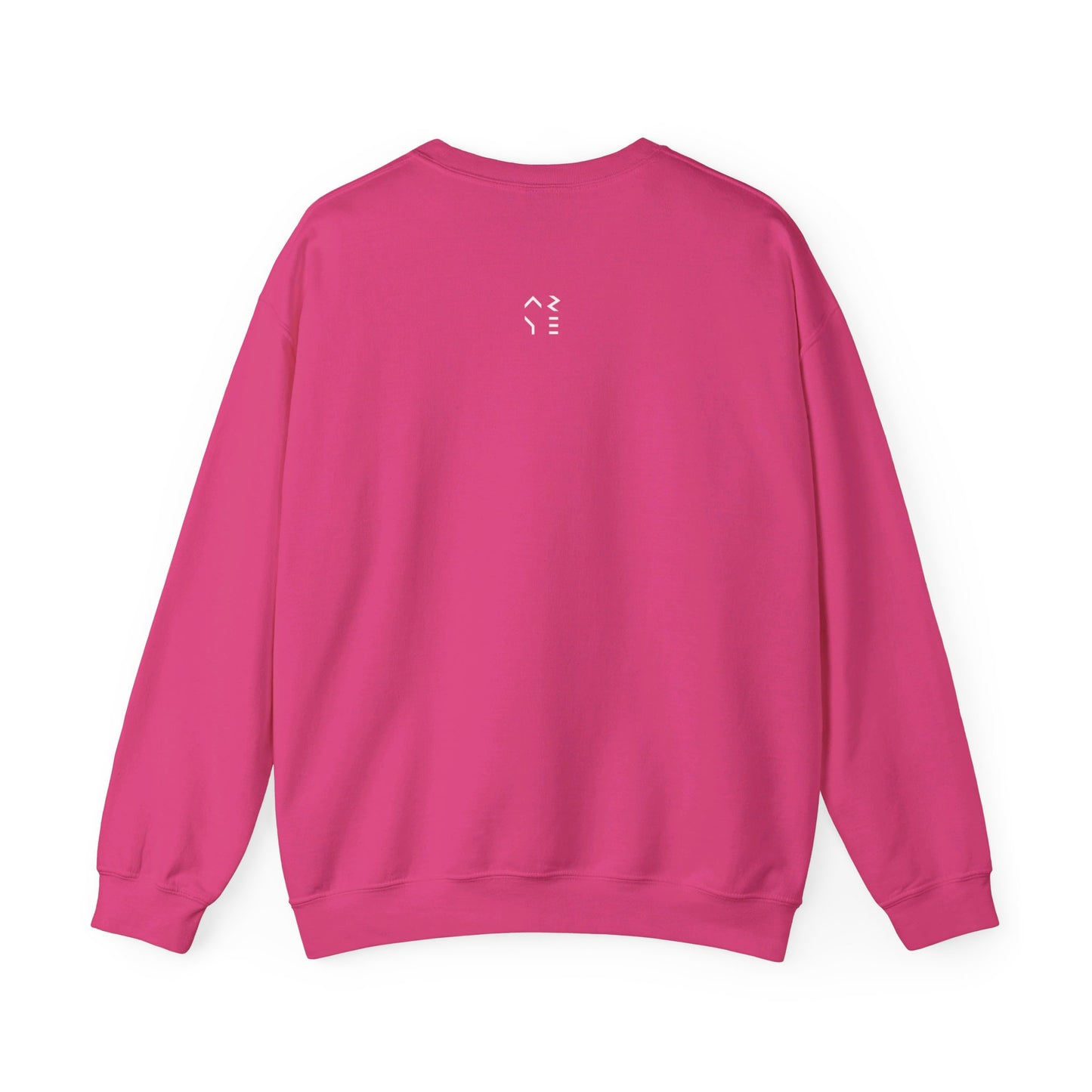ARYE PACK DIGITAL CREWNECK