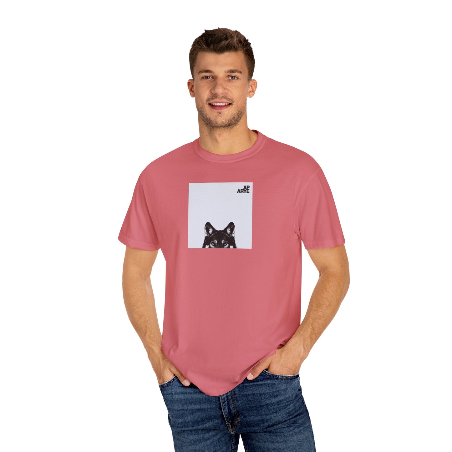 ARYE PACK AP ABUM T-SHIRT