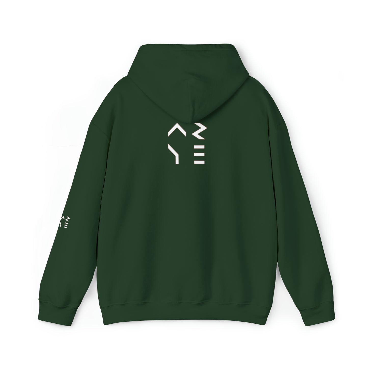ARYE PACK DEFINITION HOODIE