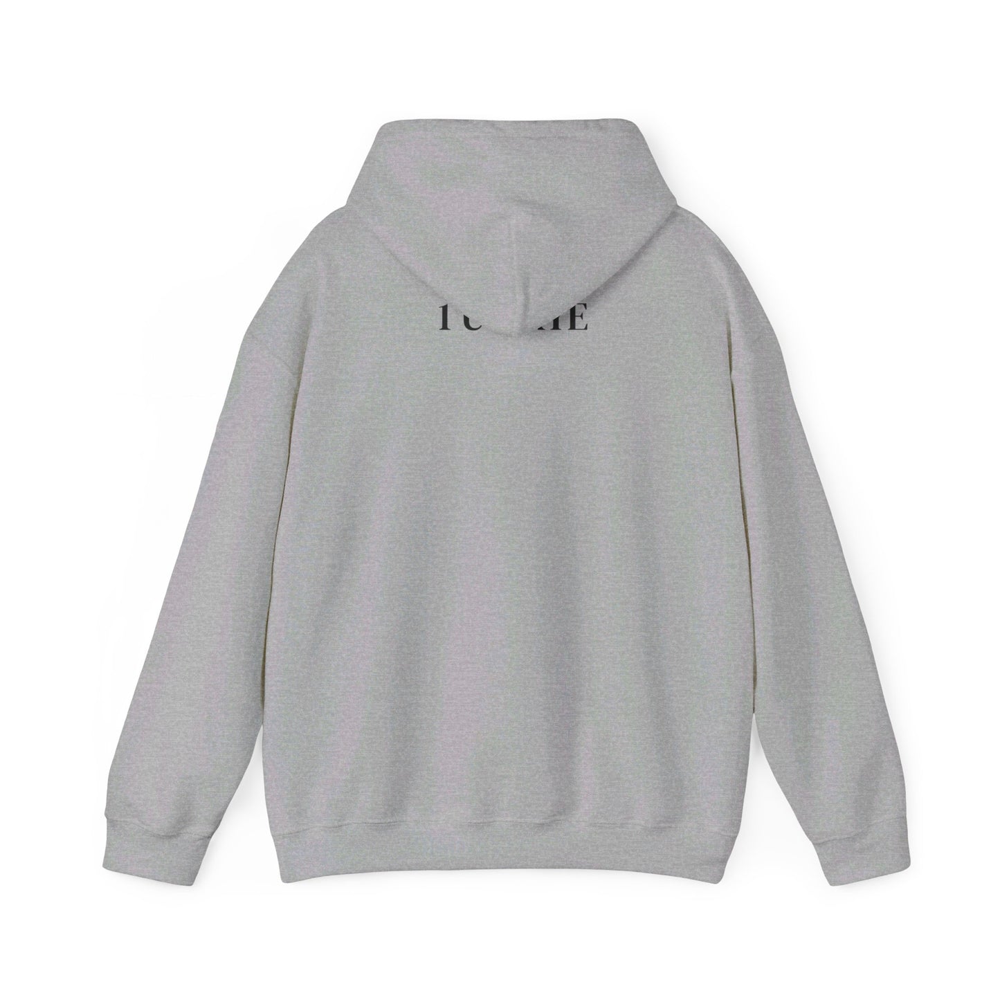ARYE 1 U HOODIE