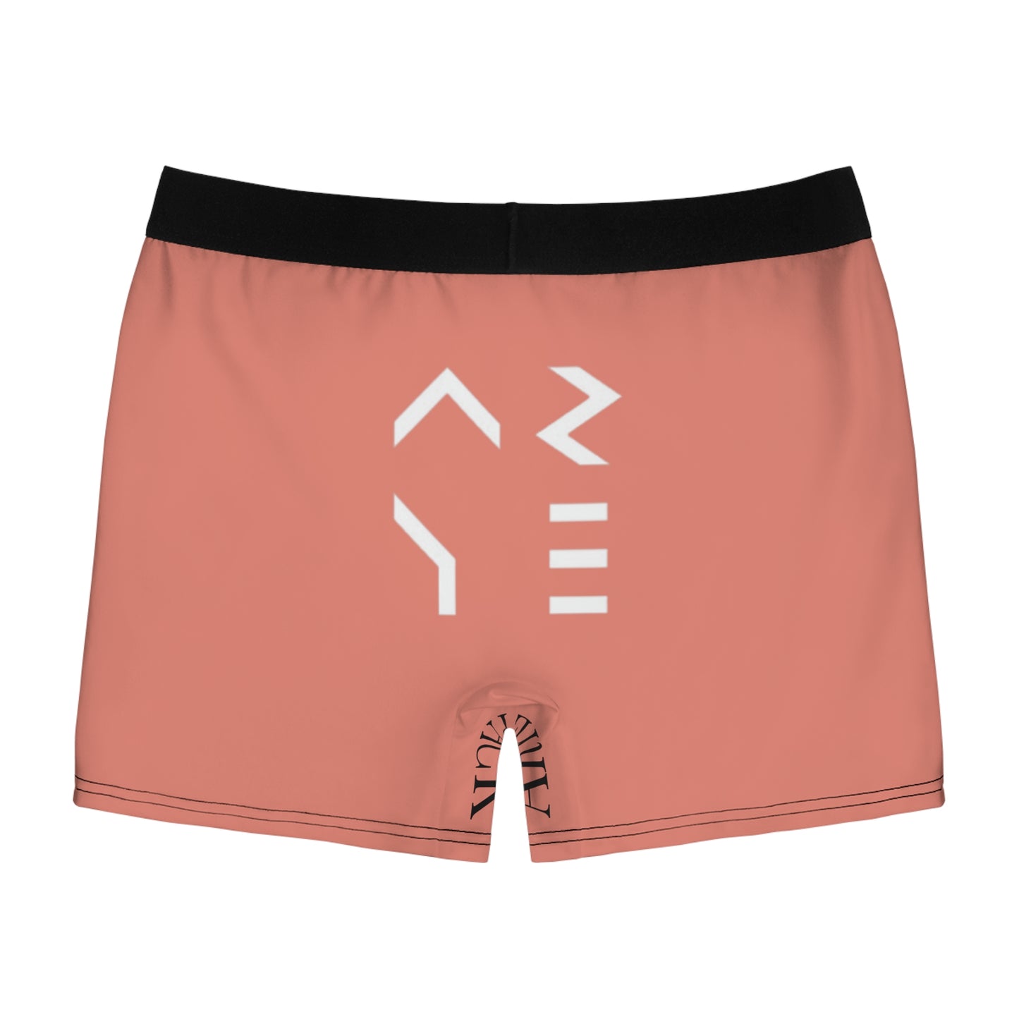 ARYE BOXER BRIEFS