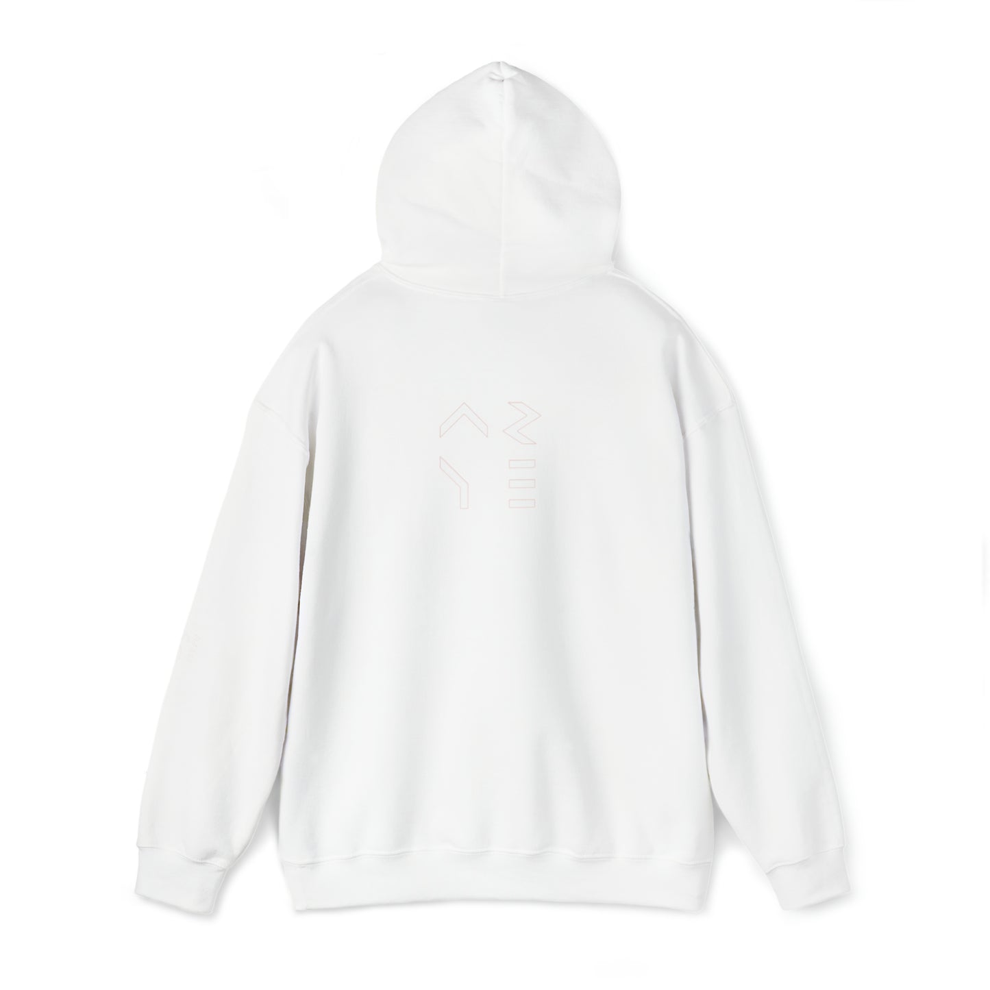 ARYE PACK DEFINITION HOODIE