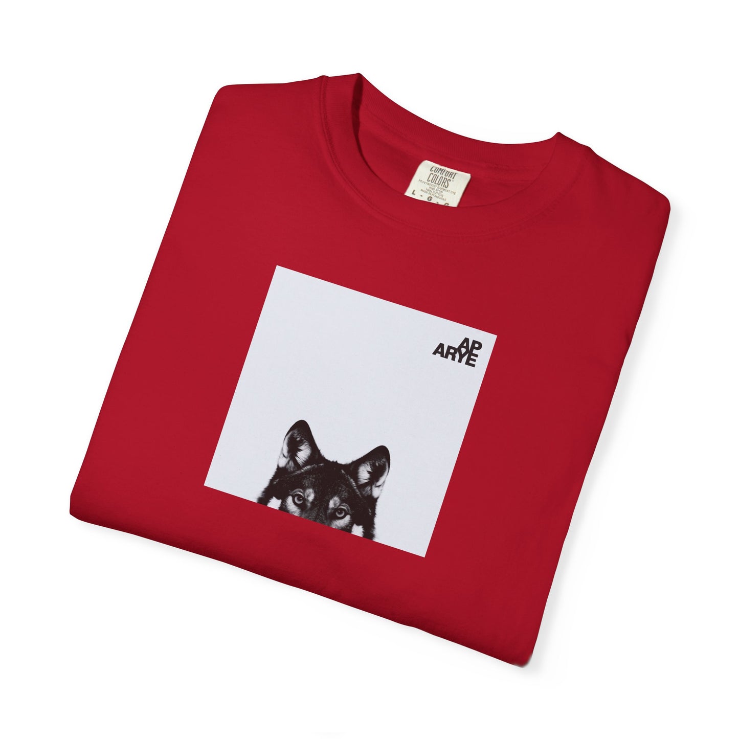 ARYE PACK AP ABUM T-SHIRT