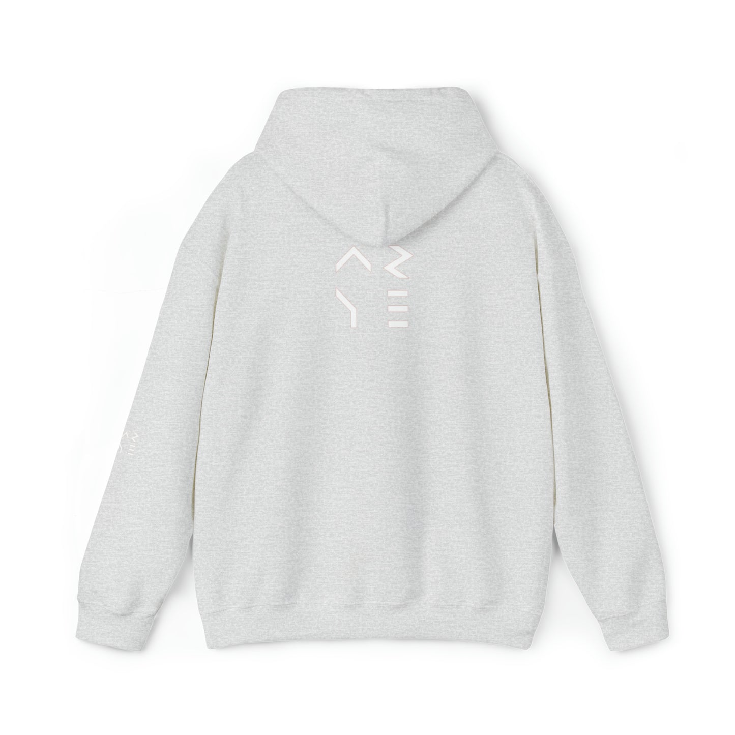 ARYE PACK DEFINITION HOODIE