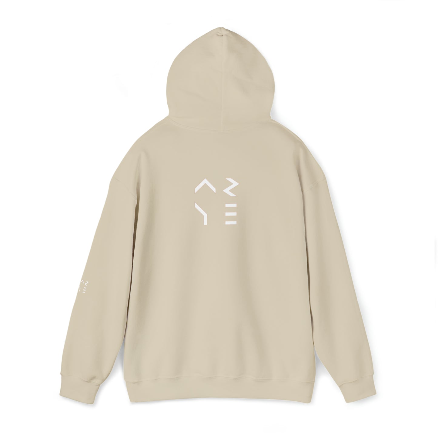 ARYE PACK DEFINITION HOODIE