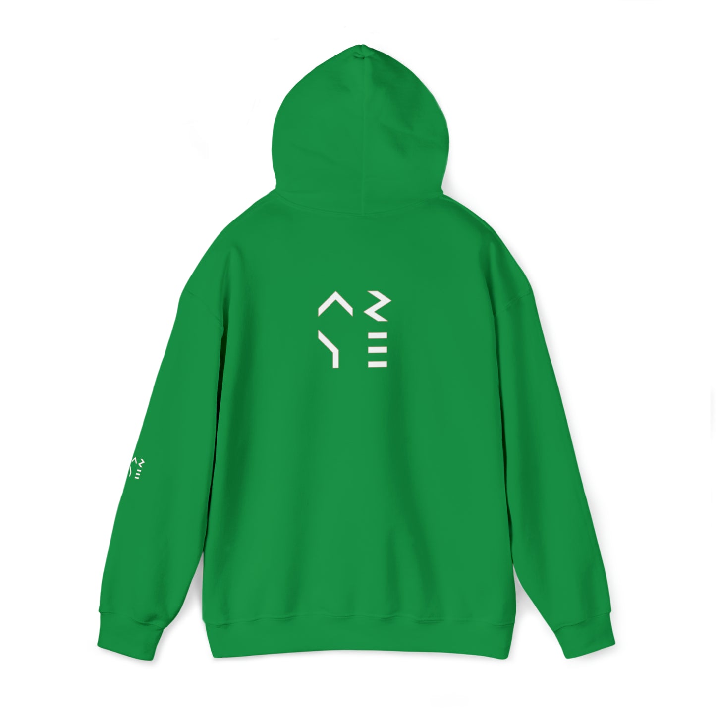 ARYE PACK DEFINITION HOODIE