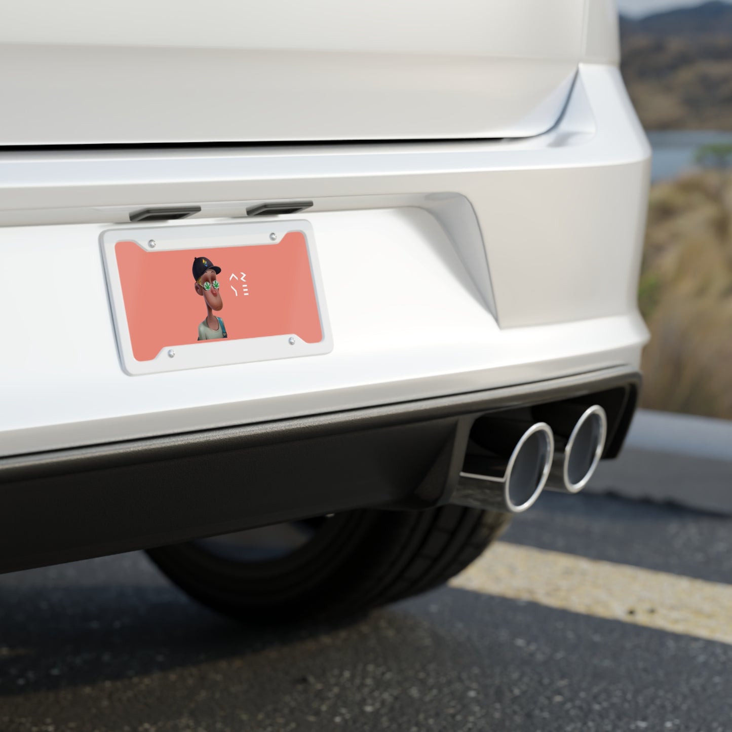 ARYE PACK LICENSE PLATE
