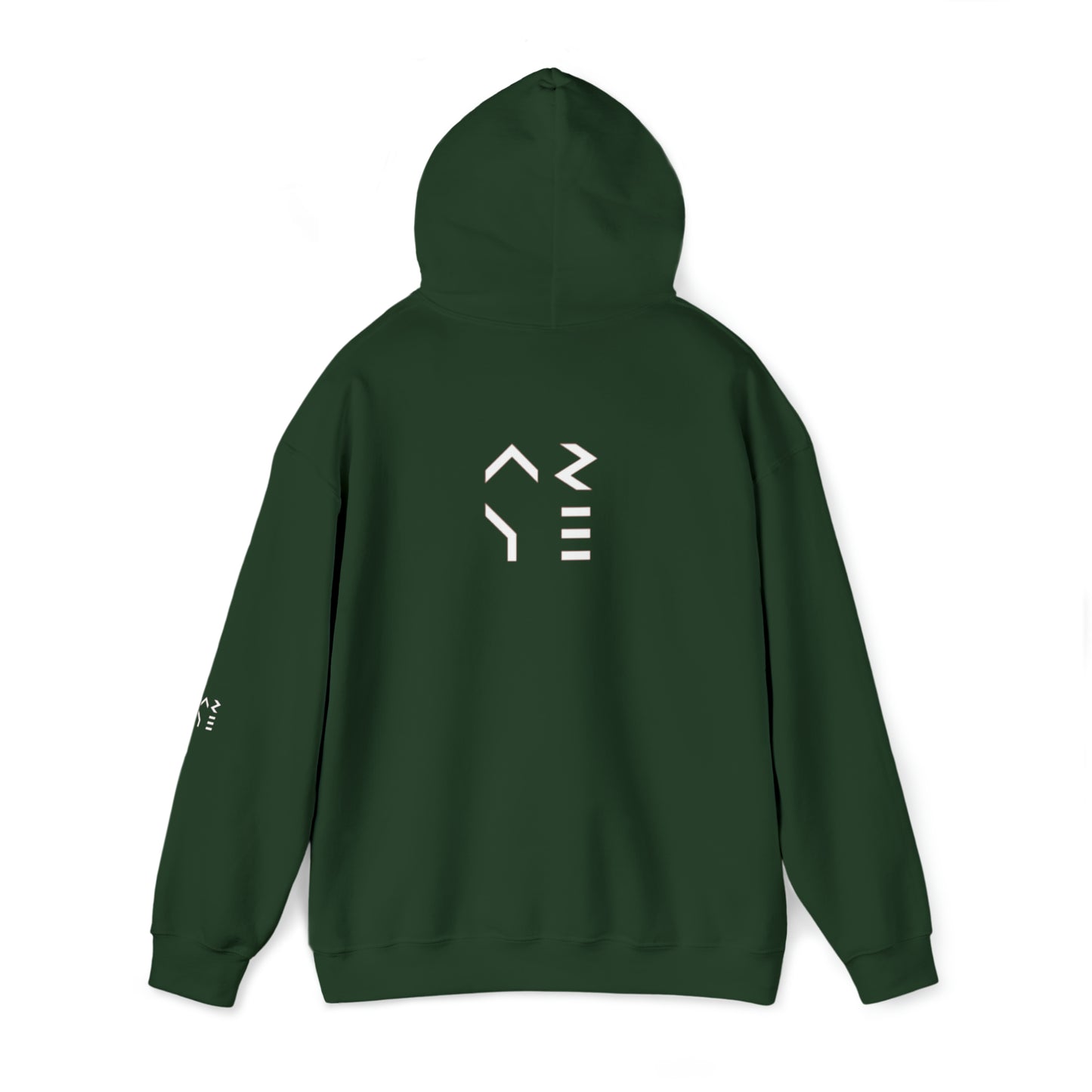 ARYE PACK DEFINITION HOODIE