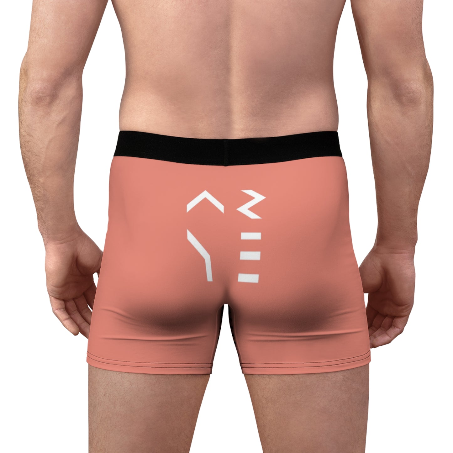 ARYE BOXER BRIEFS