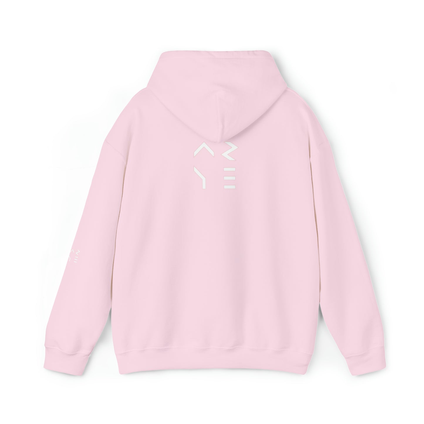 ARYE PACK DEFINITION HOODIE