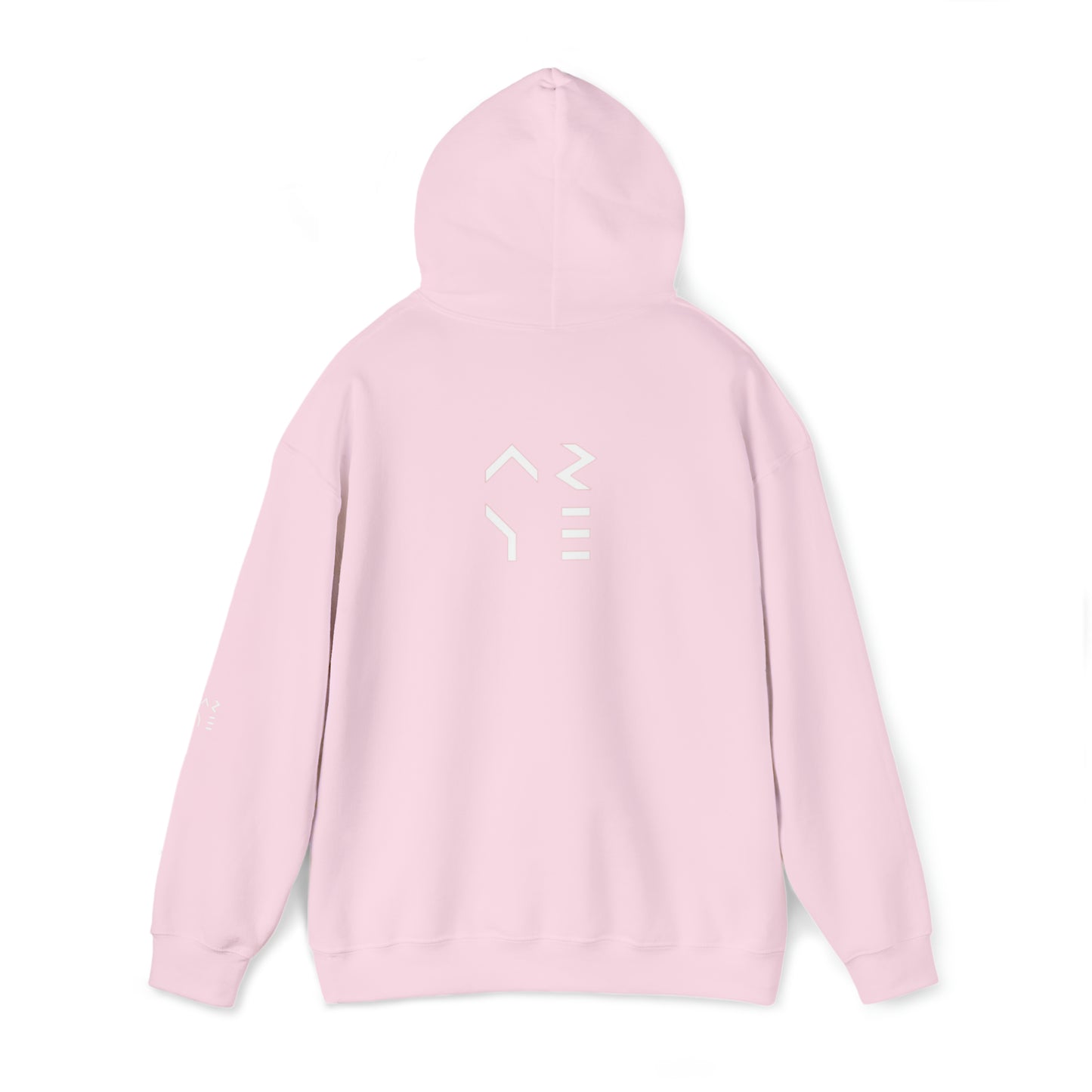 ARYE PACK DEFINITION HOODIE