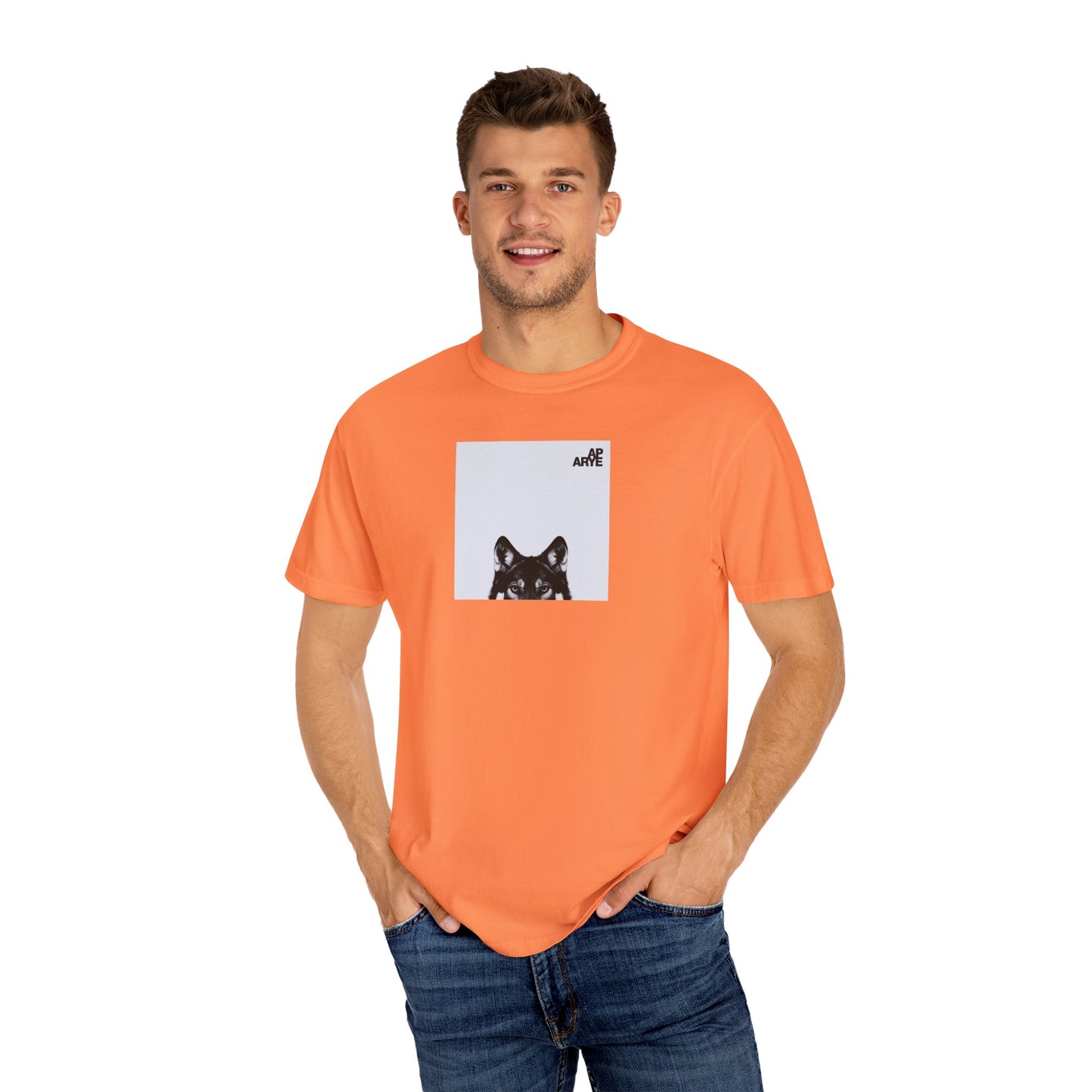 ARYE PACK AP ABUM T-SHIRT