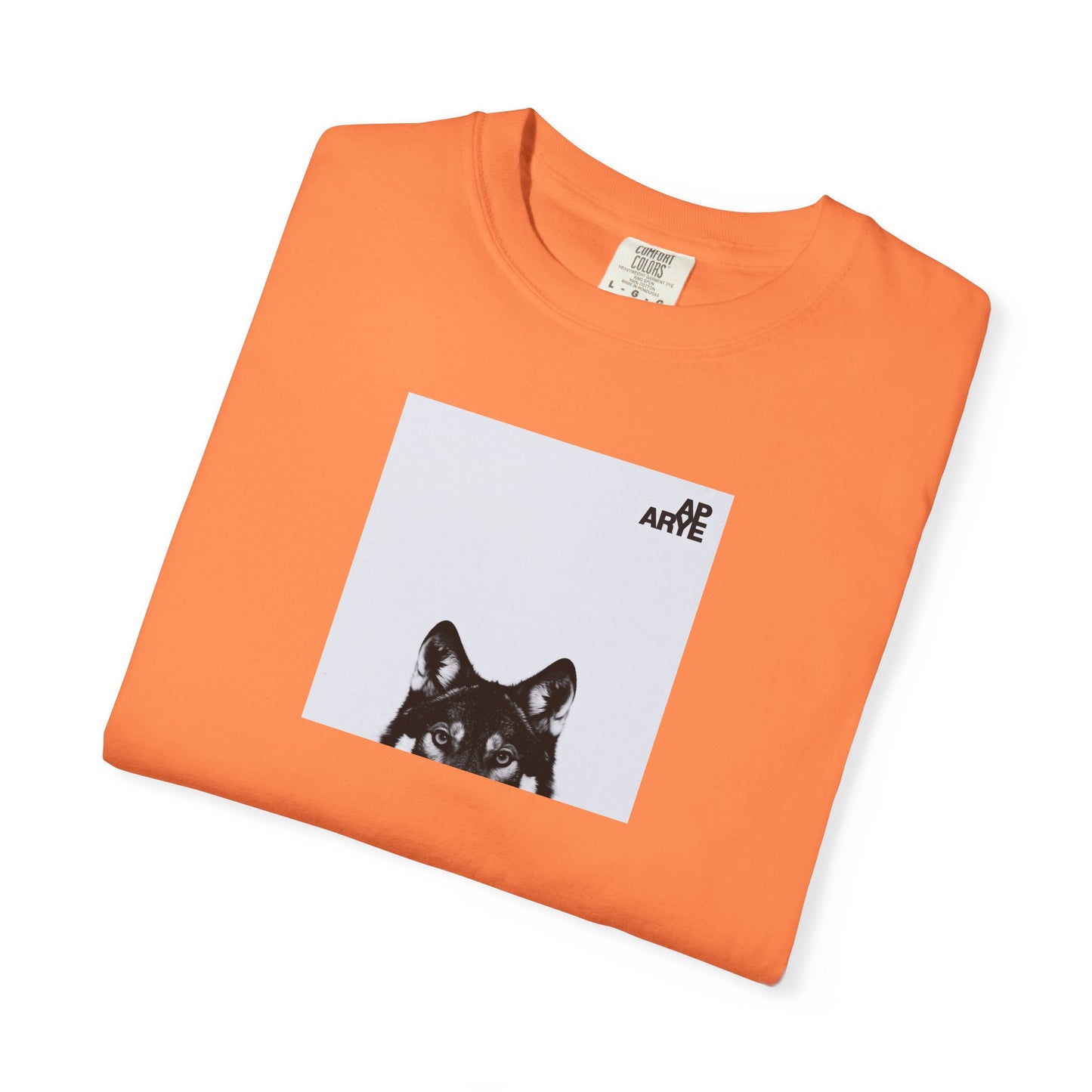 ARYE PACK AP ABUM T-SHIRT