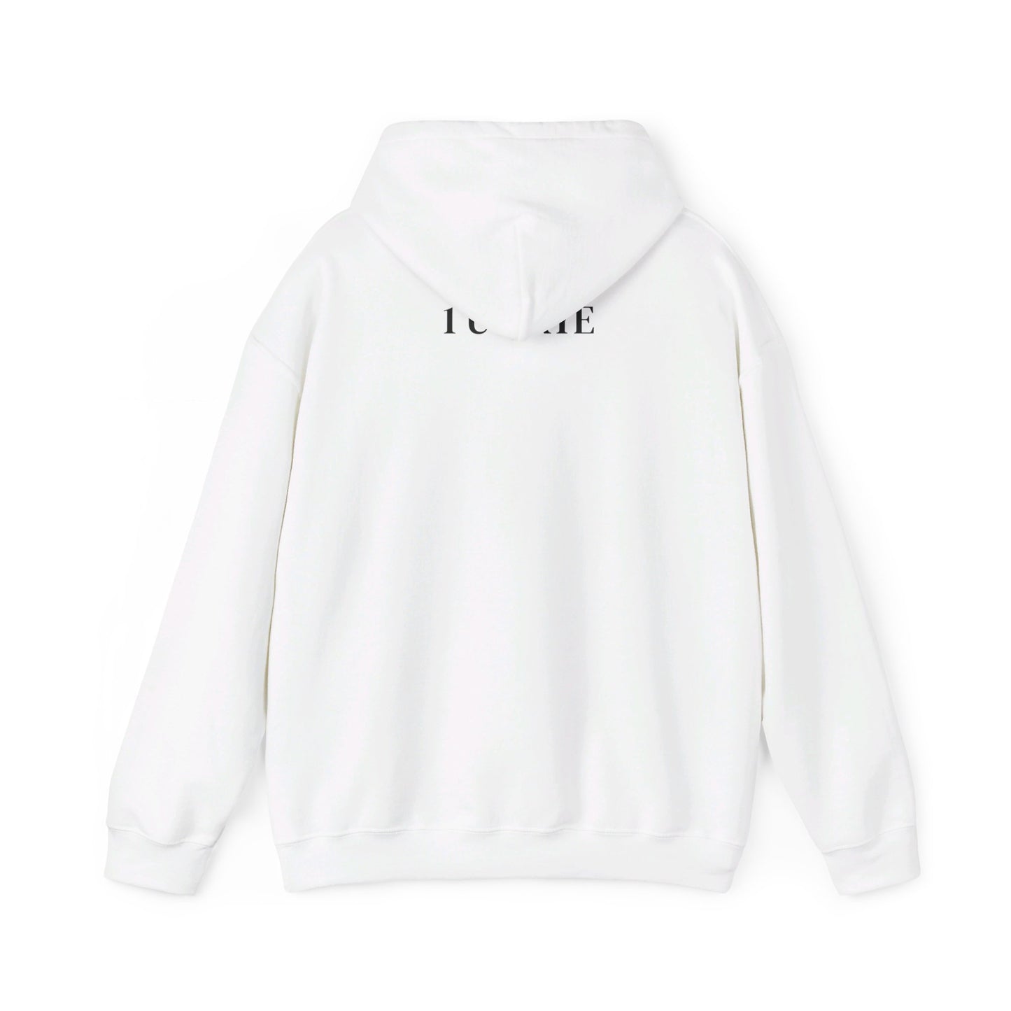 ARYE 1 U HOODIE