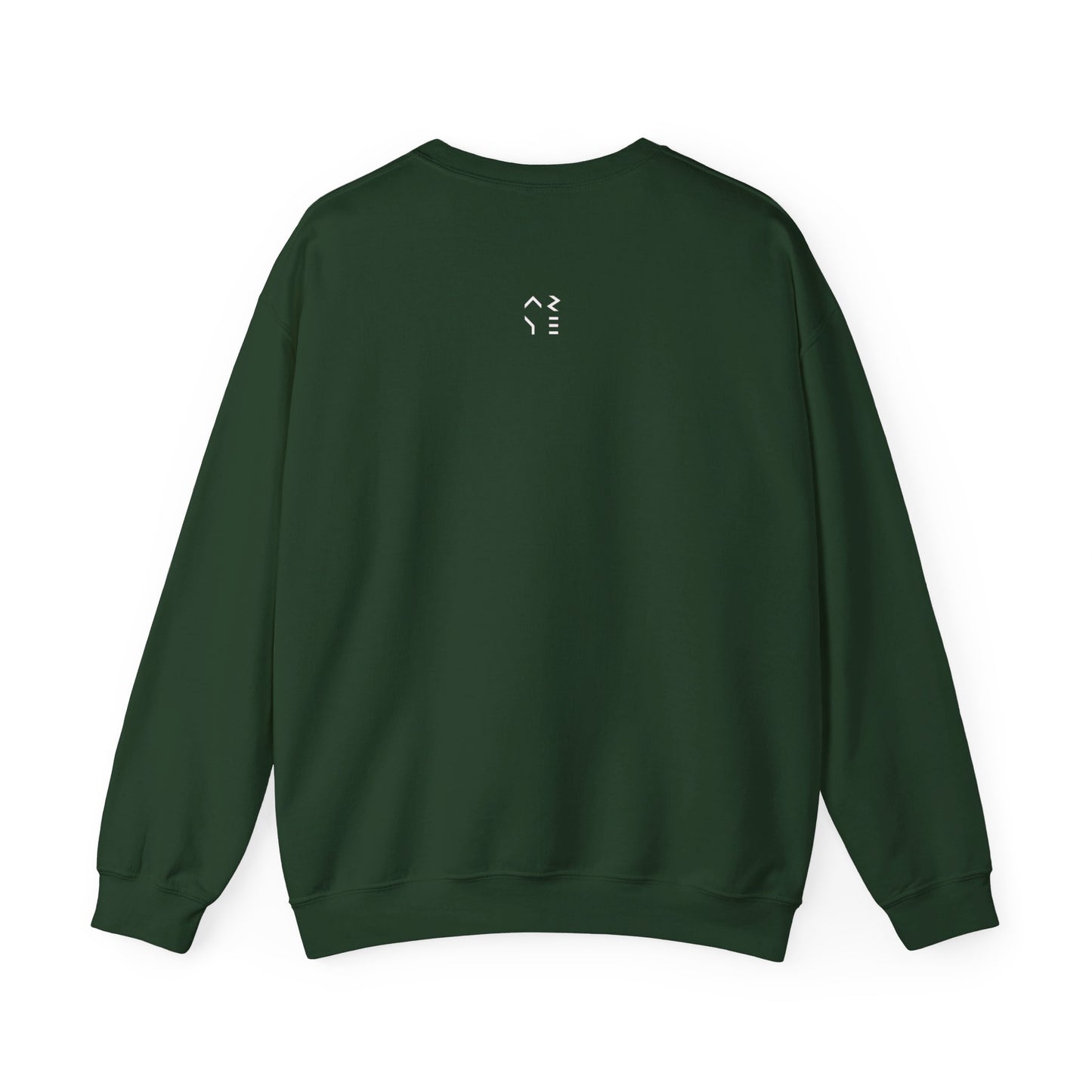 ARYE PACK DIGITAL CREWNECK