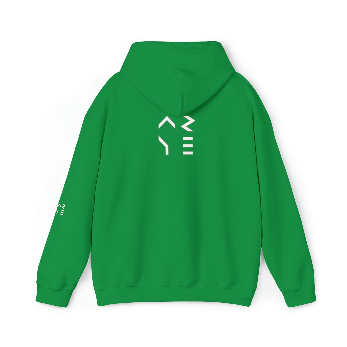ARYE PACK DEFINITION HOODIE