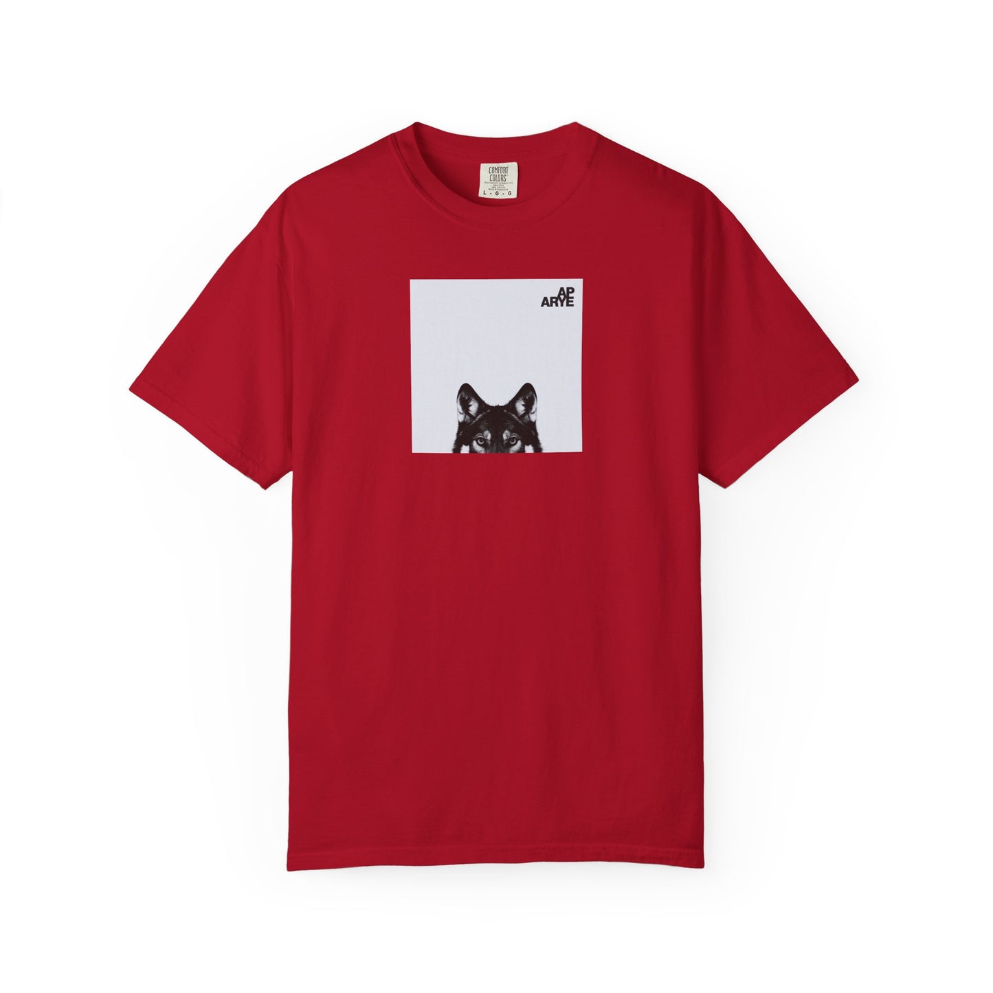 ARYE PACK AP ABUM T-SHIRT