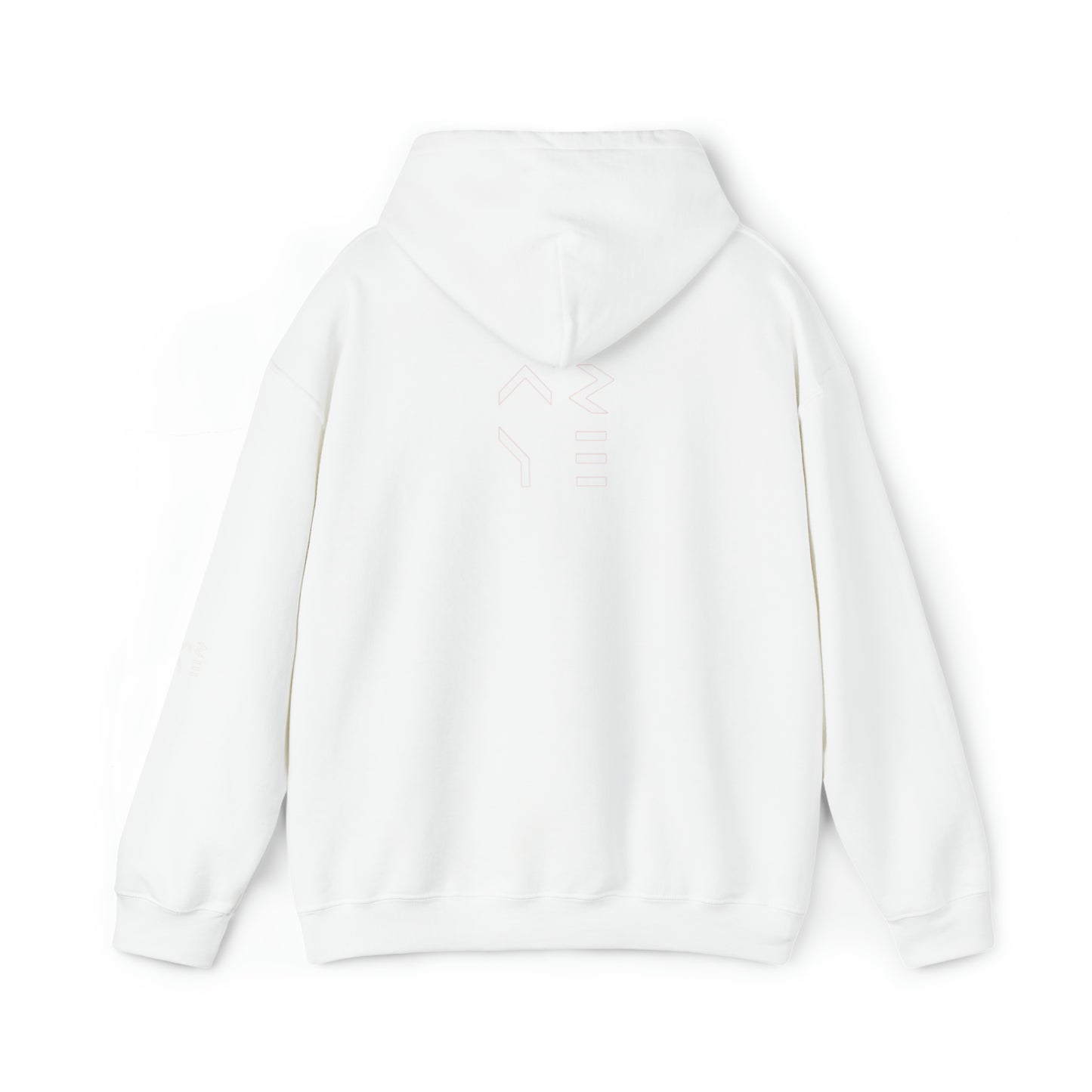 ARYE PACK DEFINITION HOODIE