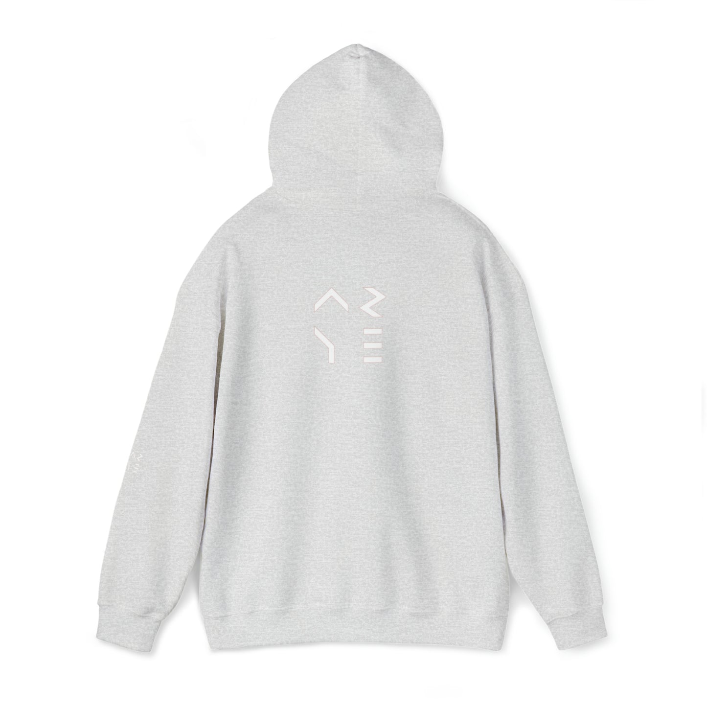 ARYE PACK DEFINITION HOODIE