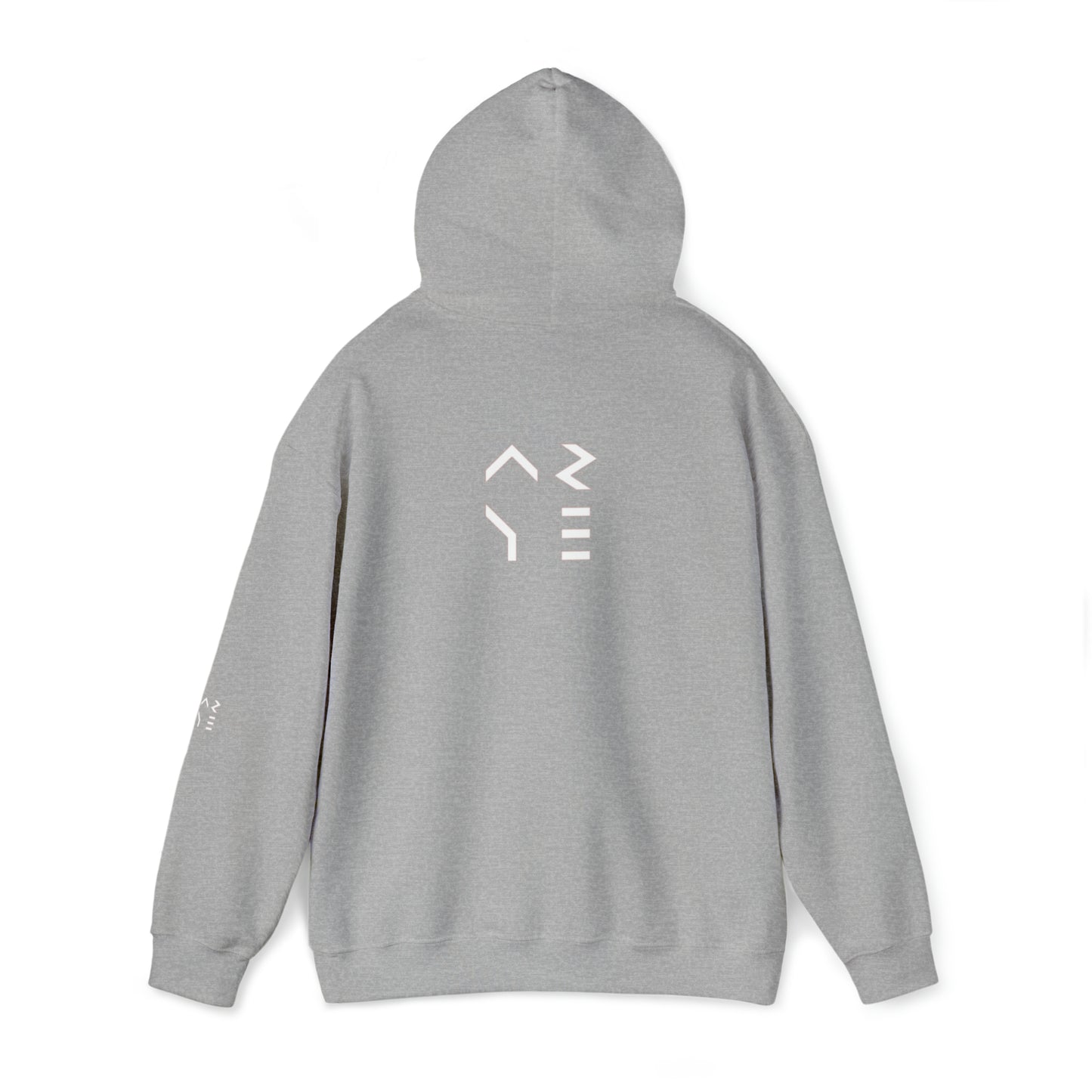 ARYE PACK DEFINITION HOODIE