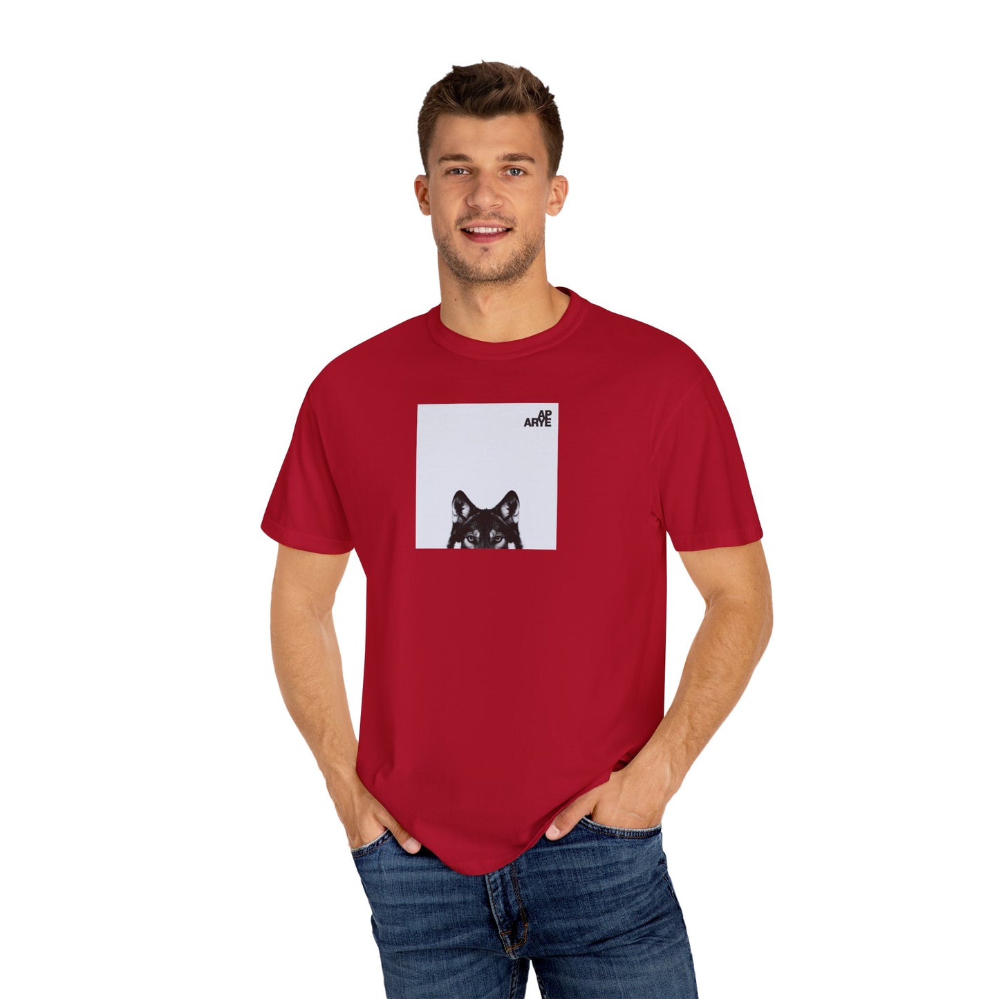 ARYE PACK AP ABUM T-SHIRT