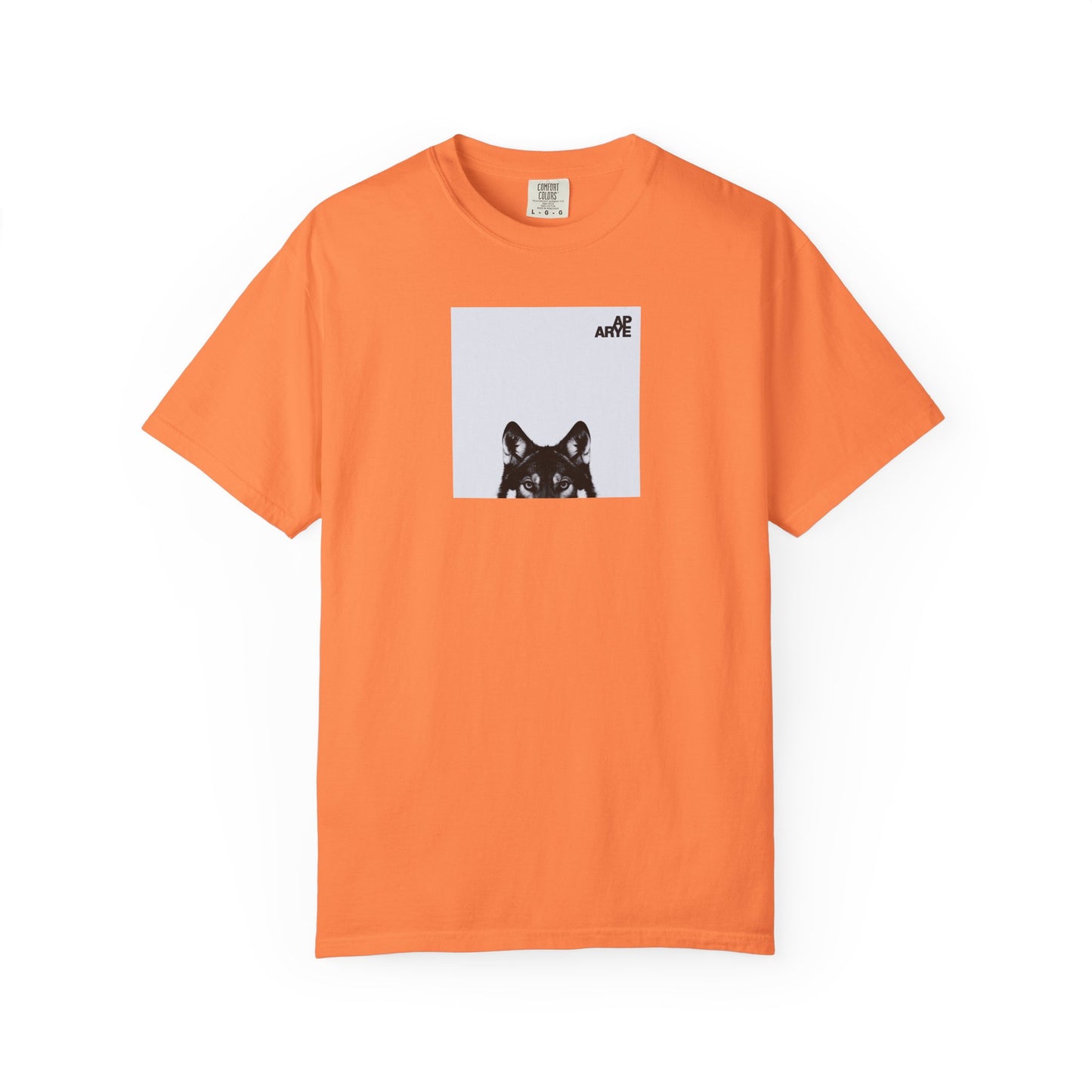 ARYE PACK AP ABUM T-SHIRT